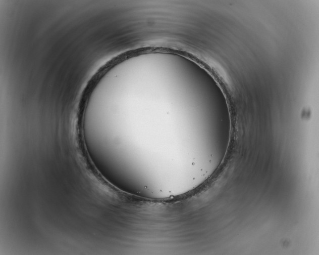 X0000103230880200808281428