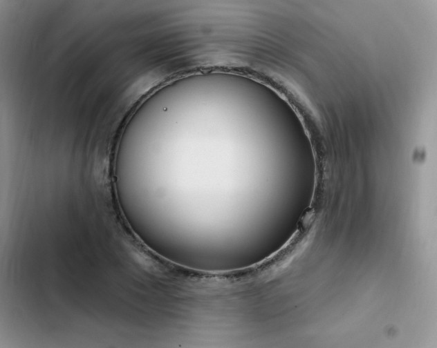 X0000103230881200808281428
