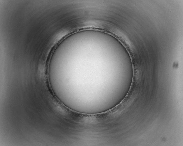 X0000103230882200808281428