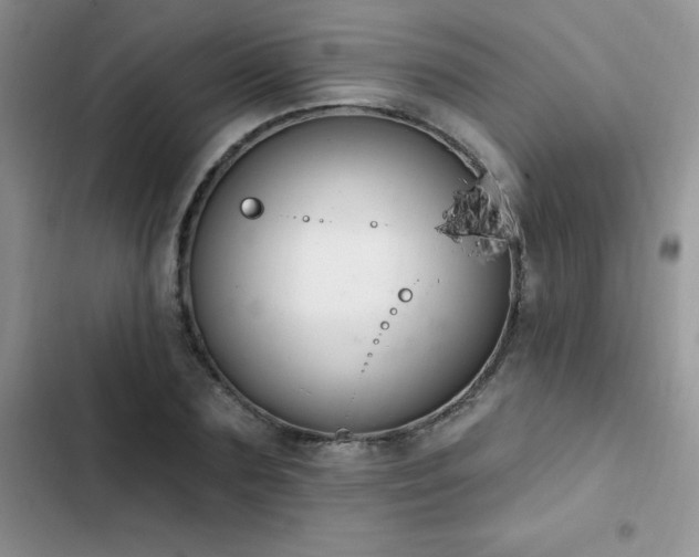 X0000103230883200808281428