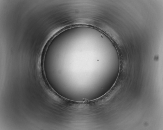 X0000103230884200808281428