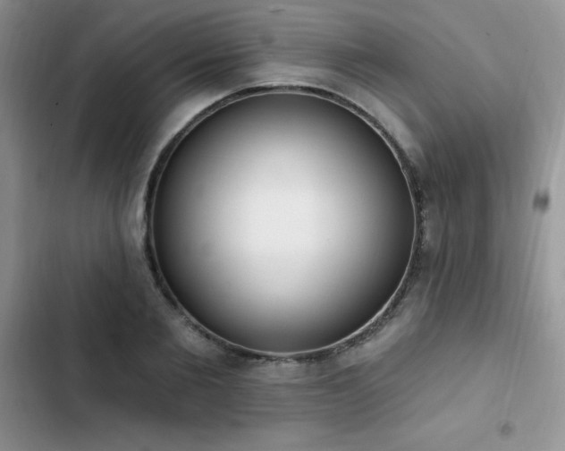 X0000103230885200808281428