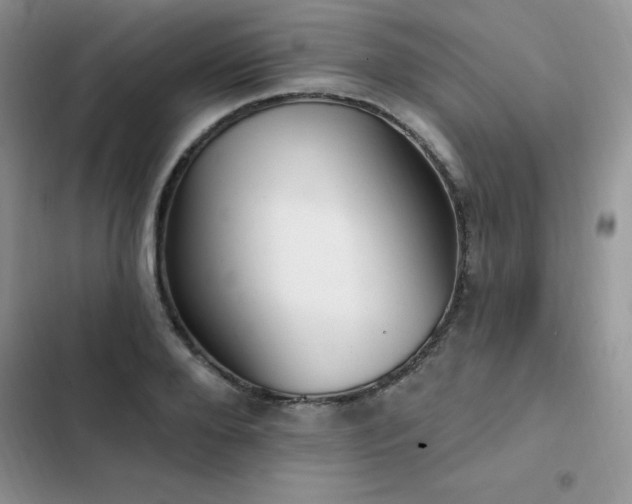 X0000103230888200808281428
