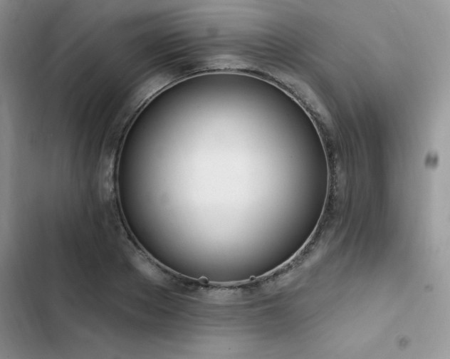 X0000103230889200808281428