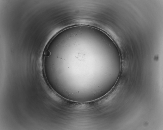 X0000103230891200808281428