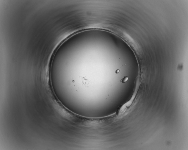 X0000103230892200808281428