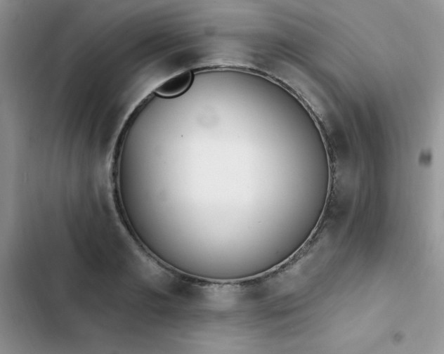 X0000103230893200808281428