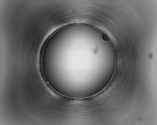 X0000103230894200808281428