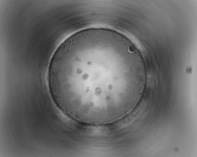 X0000103230895200808281428