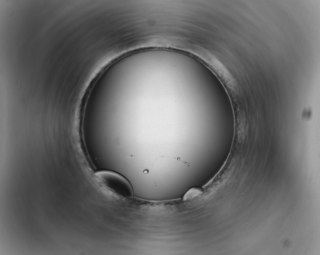 X0000103230896200808281428