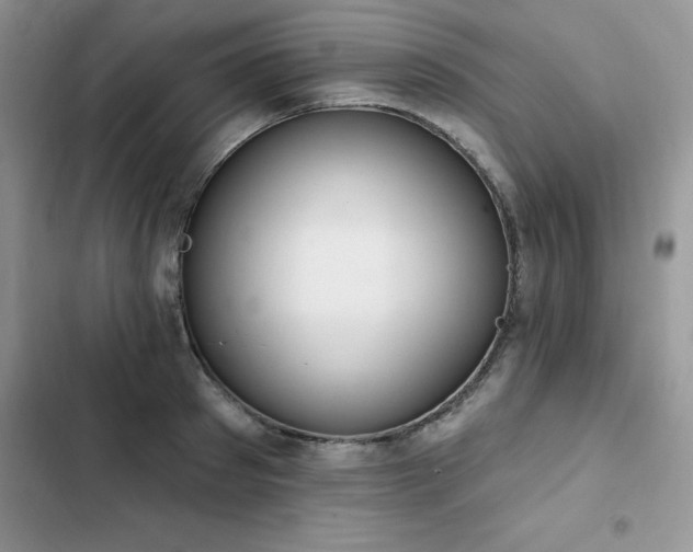 X0000103230897200808281428