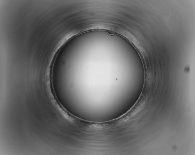 X0000103230898200808281428