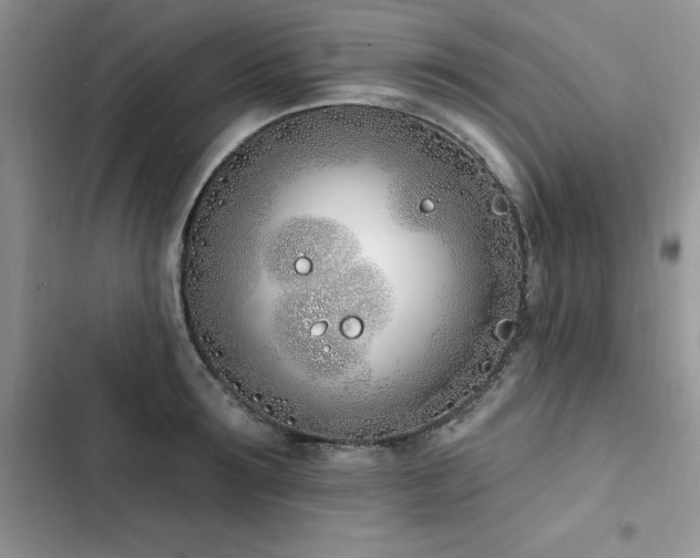 X0000103230899200808281428