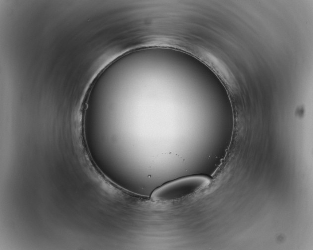 X0000103230900200808281428