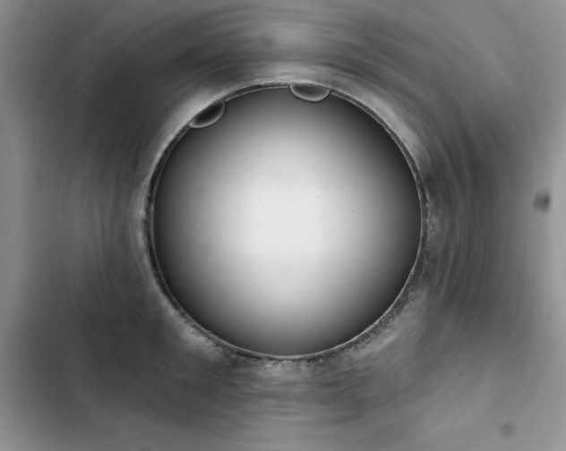 X0000103230901200808281428