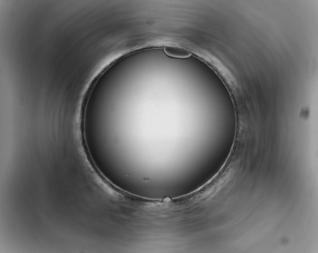 X0000103230902200808281428