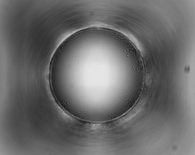 X0000103230903200808281428