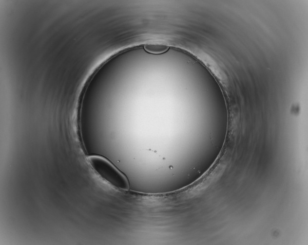 X0000103230904200808281428