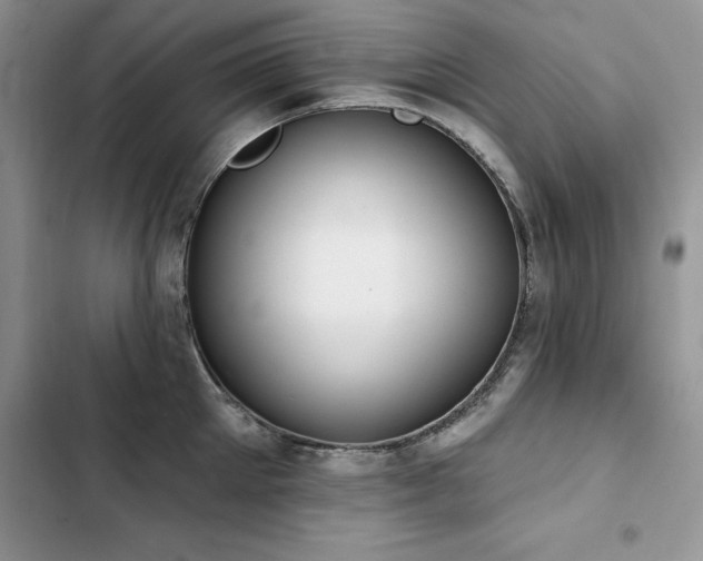 X0000103230905200808281428