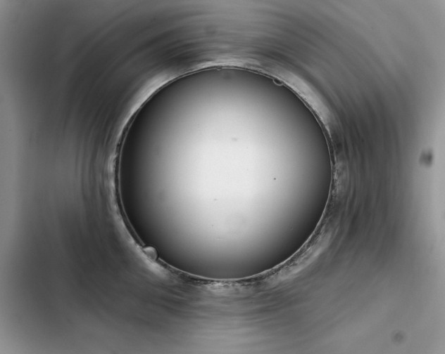 X0000103230906200808281428