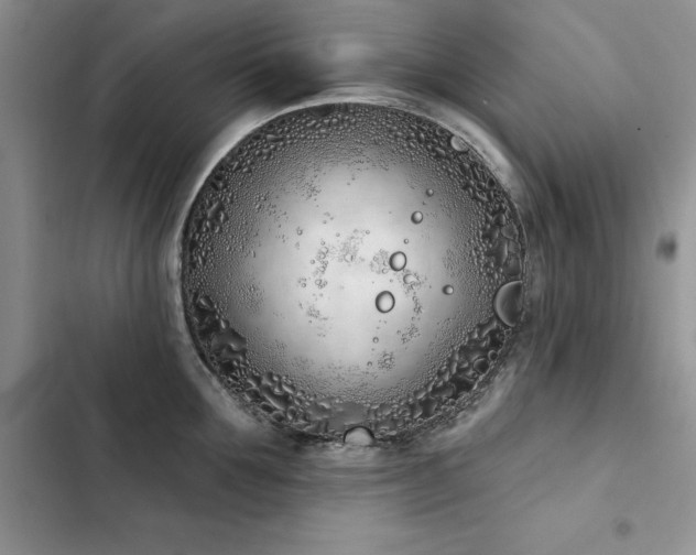 X0000103230907200808281428