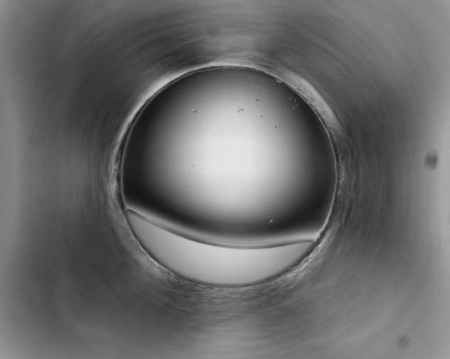 X0000103230908200808281428