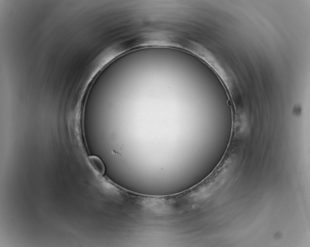 X0000103230909200808281428