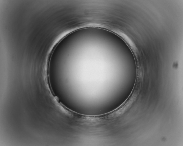 X0000103230910200808281428