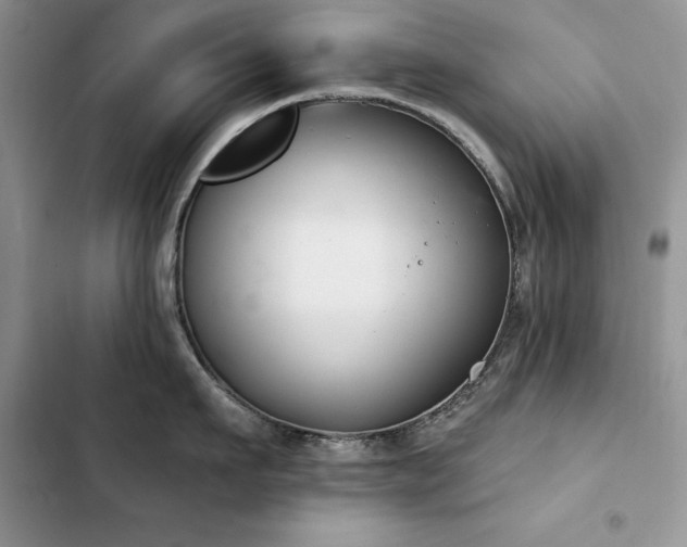 X0000103230911200808281428