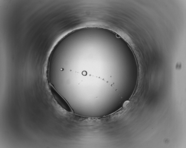 X0000103230912200808281428