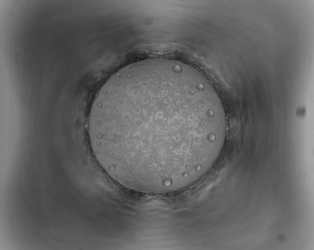 X0000103230913200808281427