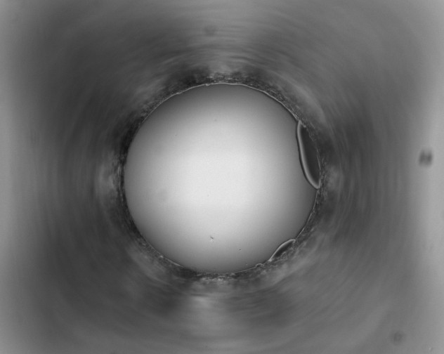 X0000103230914200808281427