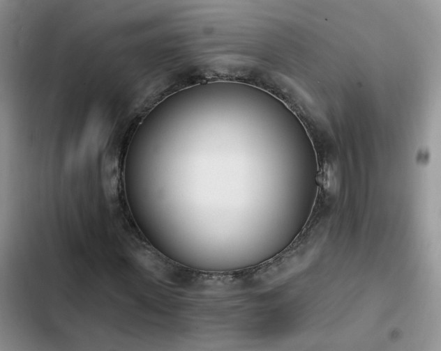 X0000103230915200808281427