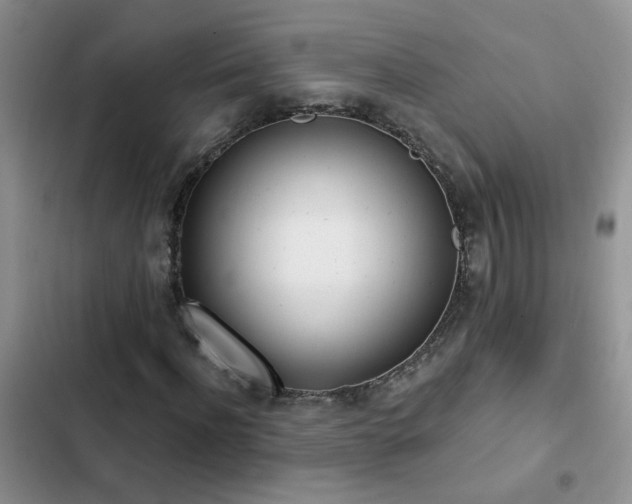 X0000103230916200808281427