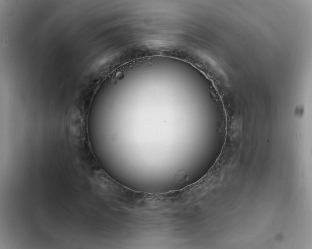 X0000103230917200808281427