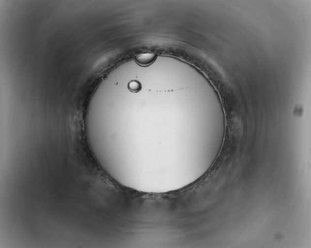 X0000103230918200808281427