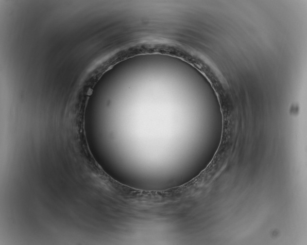 X0000103230919200808281427