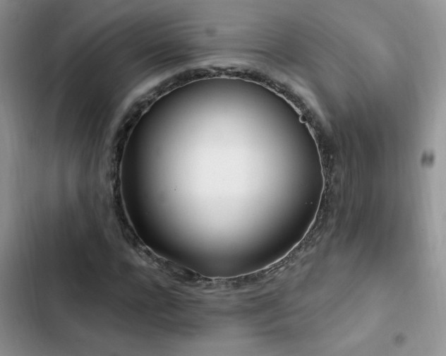 X0000103230920200808281427