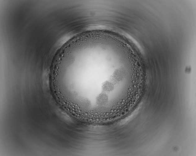 X0000103230921200808281427