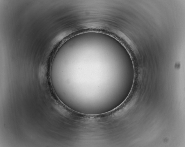 X0000103230922200808281427