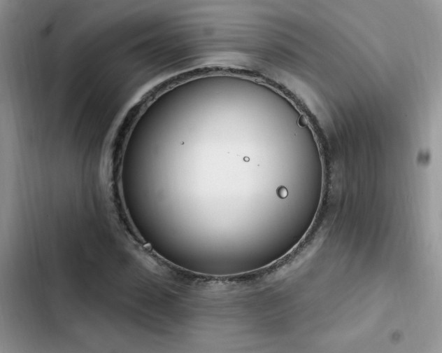 X0000103230923200808281427