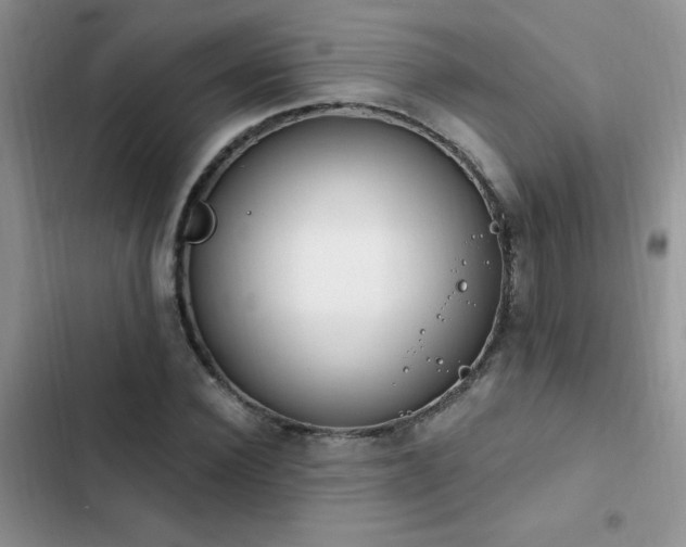 X0000103230924200808281427