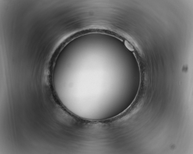X0000103230926200808281427