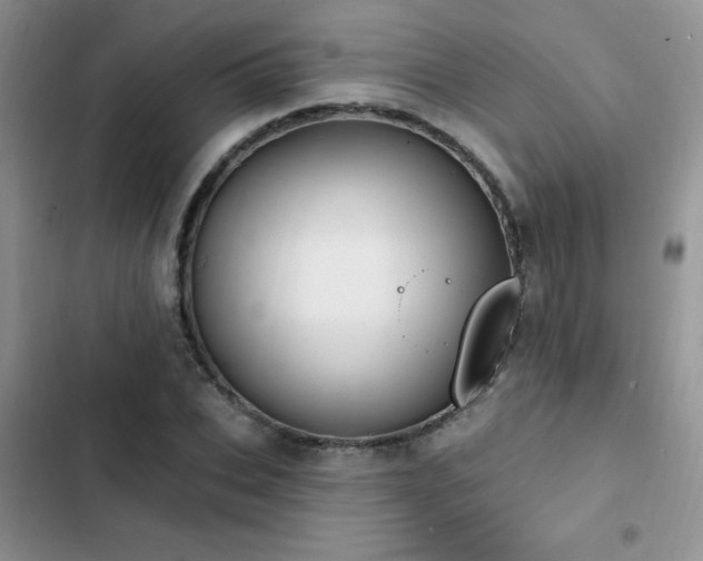 X0000103230927200808281427