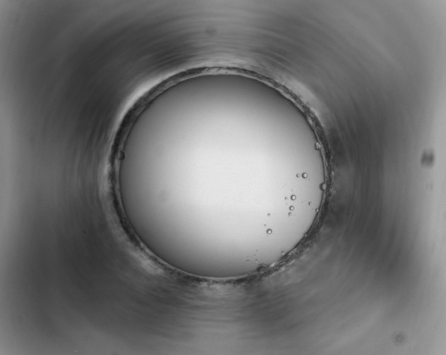 X0000103230928200808281427