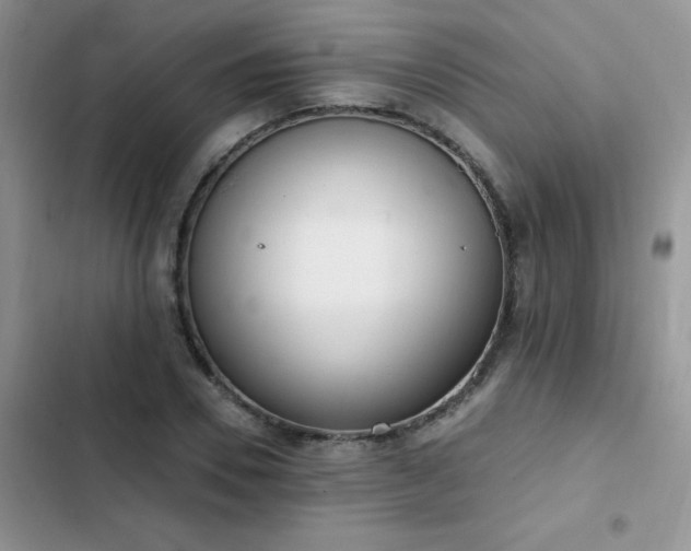 X0000103230930200808281427