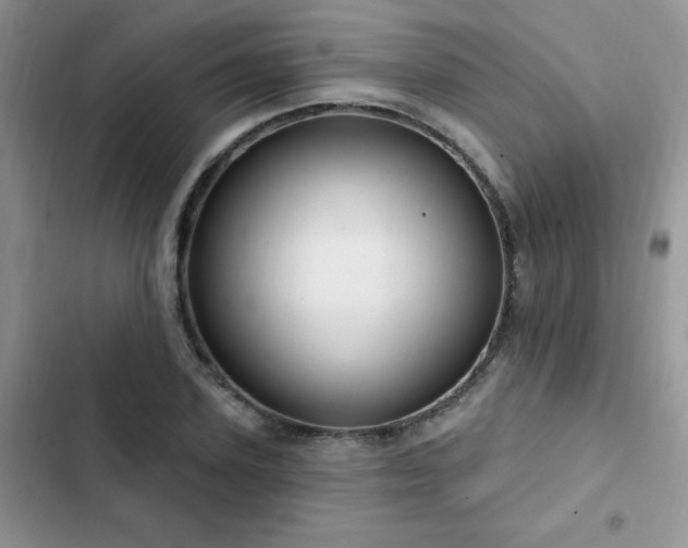 X0000103230931200808281427