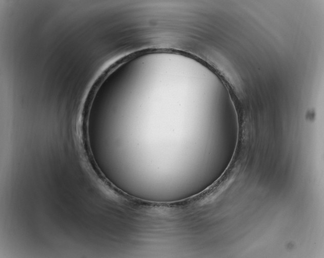 X0000103230932200808281427