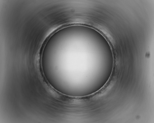 X0000103230933200808281427