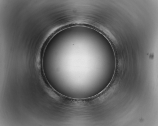 X0000103230934200808281427